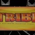 tribe_ignite_2013-119