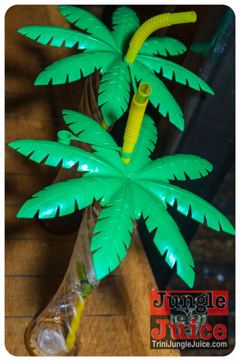 shipwrecked_2013-001