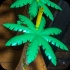 shipwrecked_2013-001