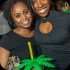 shipwrecked_2013-112