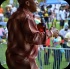 va_caribfest_parade_2013_pt1-170