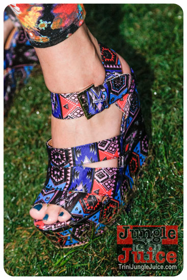 va_caribfest_parade_2013_pt2-272