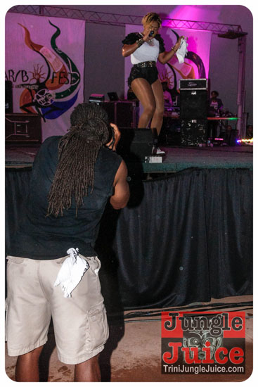 va_caribfest_parade_2013_pt2-296