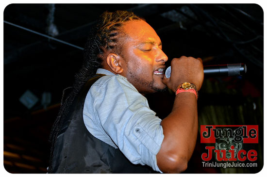 xen_2013-096