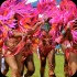 accba_parade_of_the_bands_2014-083
