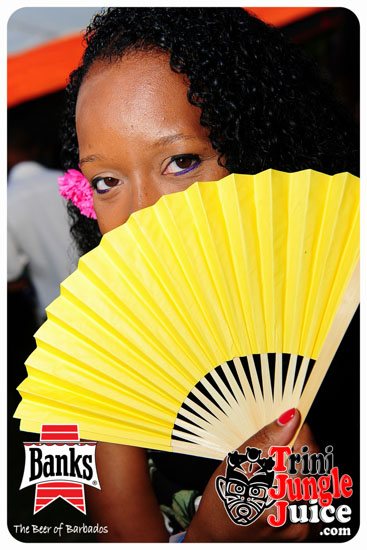 bliss_2014-047