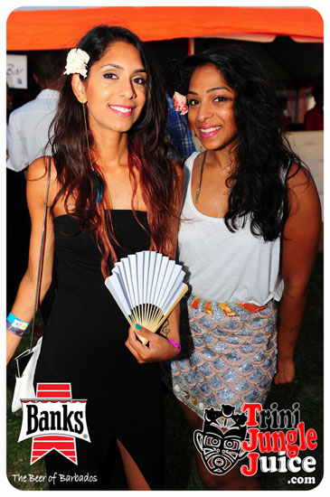 bliss_2014-048