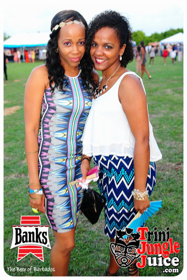 bliss_2014-058