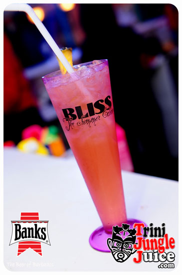 bliss_2014-073