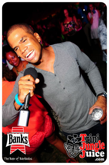 bliss_2014-219
