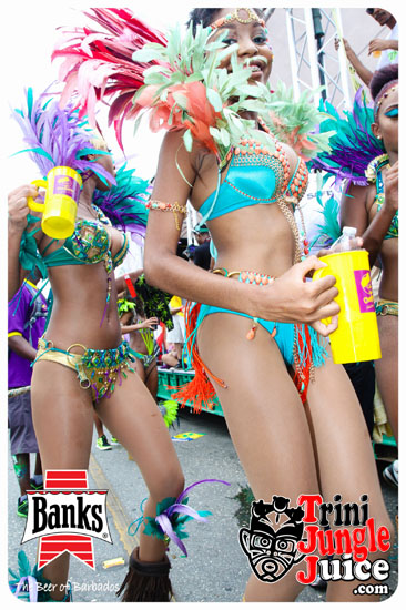 kadooment_day_2014_pt1-208