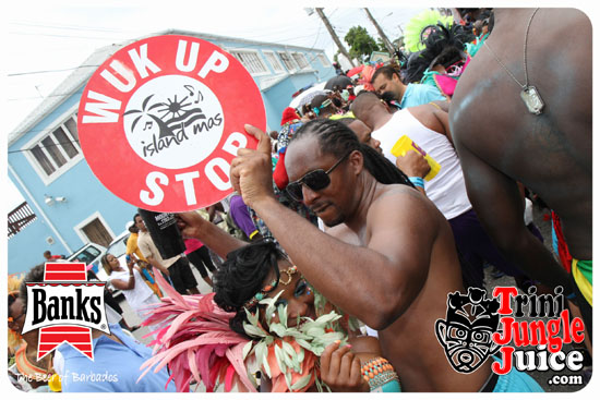 kadooment_day_2014_pt1-237