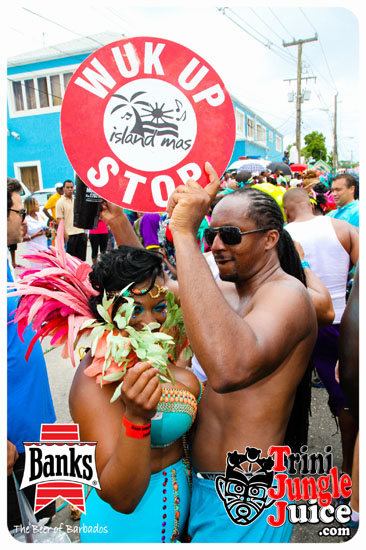 kadooment_day_2014_pt1-238