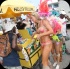 kadooment_day_2014_pt1-172