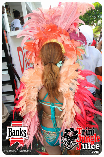 kadooment_day_2014_pt2-167