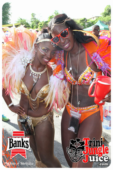 kadooment_day_2014_pt2-188
