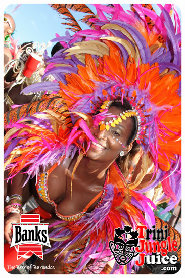 kadooment_day_2014_pt2-212