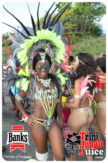kadooment_day_2014_pt2-219
