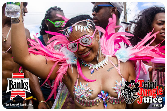 kadooment_day_2014_pt3-216
