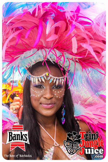 kadooment_day_2014_pt3-224