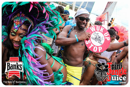 kadooment_day_2014_pt4-192