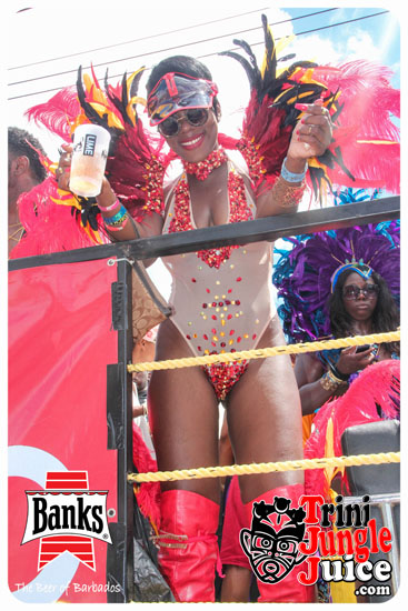 kadooment_day_2014_pt5-136