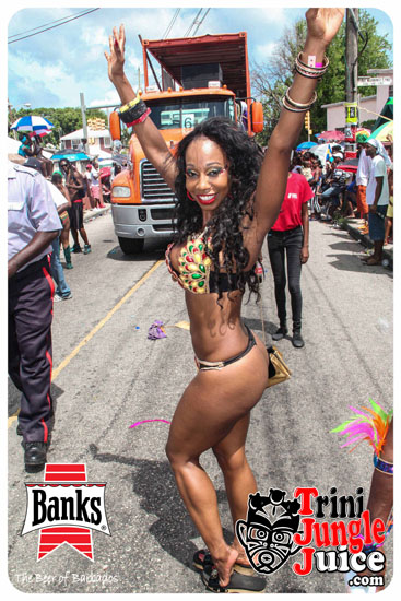 kadooment_day_2014_pt5-141
