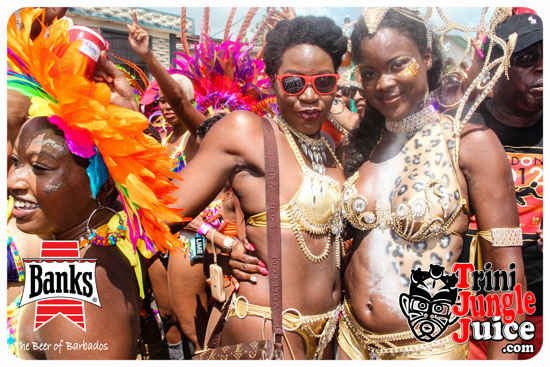 kadooment_day_2014_pt5-148