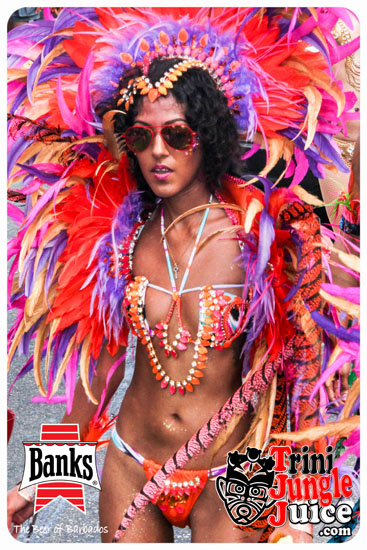 kadooment_day_2014_pt5-190