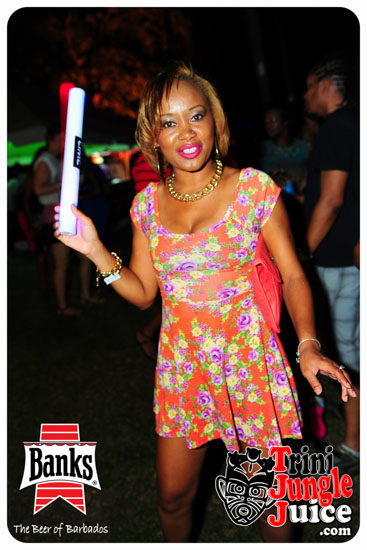 lush_2014-098