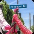 hollywood_carnival_parade_2014_pt2-025