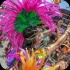 hollywood_carnival_parade_2014_pt2-105