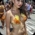 hollywood_carnival_parade_2014_pt2-117
