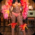 carnival_republic_2014_band_launch-014