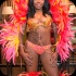 carnival_republic_2014_band_launch-015