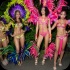 mascots_intl_2014_launch-135