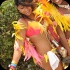 bacchanal_jamaica_road_march_2014_pt1-194