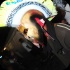 bacchanal_jouvert_2014_pt1-146