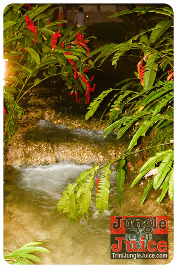 kampai_2014-002