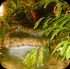 kampai_2014-002
