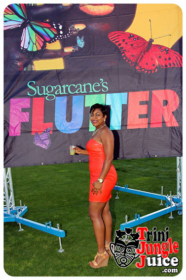 flutter_2014_pt1-058