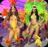flutter_2014_pt2-040
