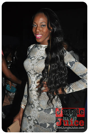 sparkle_2014-066