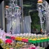 sugarcane_blossom_2014-015