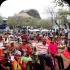 st_lucia_jazz_2014-050