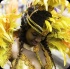 vincy_mas_tuesday_2014-132