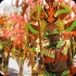 vincy_mas_tuesday_2014-167