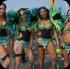 toronto_carnival_parade_2014_pt1-006