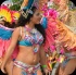 toronto_carnival_parade_2014_pt1-020