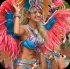 toronto_carnival_parade_2014_pt1-021